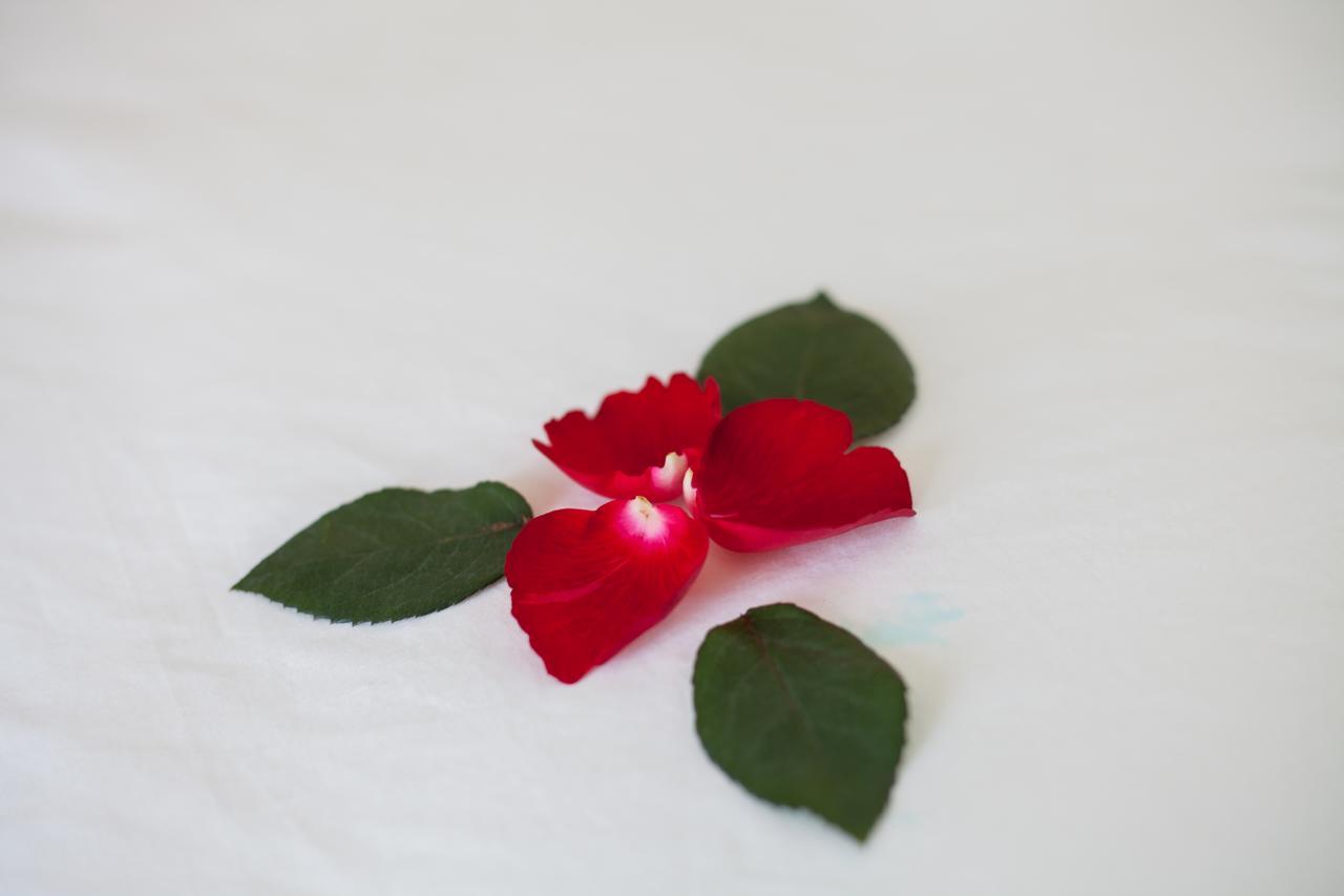 Sapa Tulip Hotel מראה חיצוני תמונה